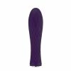 Nalone – Ian Bullet Vibrator Purple