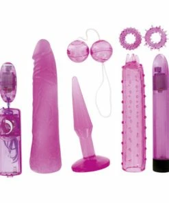 Best Couples Sex Toys Bestseller – Erotic Purple Treasure Kit