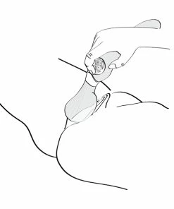 Shunga – Zoa Intimate Massager Raspberry 18 Shunga – Zoa Intimate Massager Raspberry -Strap-On-Me® Shop unnamed file 5029